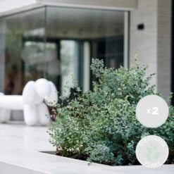 Progardee Boutique -Progardee Boutique 63f3b93fa701f4.98565391