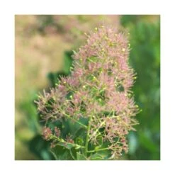 Progardee Boutique -Progardee Boutique 63fdf44cd7bf98.68419096