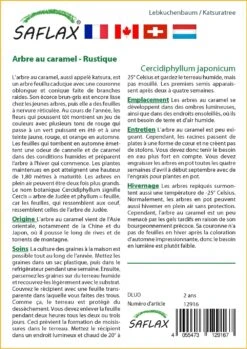 Kit De Culture - Arbre Au Caramel - 200 Graines - Cercidiphyllum Japonicum -Progardee Boutique 64064132c9d4c4.04855019