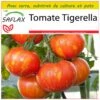 Kit De Culture - Tomate Tigerella - 10 Graines - Lycopersicon Esculentum -Progardee Boutique 64064139be26e2.18105117