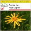 Kit De Culture - Arnica Des Montagnes - 40 Graines - Arnica Montana -Progardee Boutique 640641a909b7e4.18340636