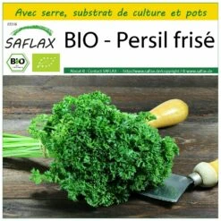 Kit De Culture - Bio - Persil Frisé - 800 Graines - Petroselinum Crispum