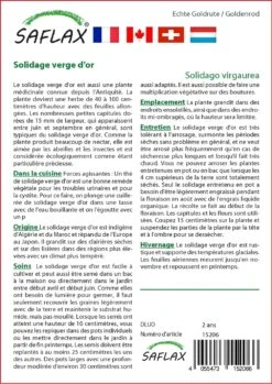 Kit De Culture - Solidage Verge D'or - 100 Graines - Solidago Virgaurea -Progardee Boutique 640641b4d55022.73382482