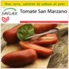 Kit De Culture - Tomate San Marzano - 10 Graines - Lycopersicon Esculentum -Progardee Boutique 640641fa2f2881.82060146