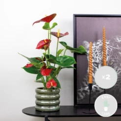 Progardee Boutique -Progardee Boutique 640b783e31f6f7.27190228