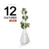 Ouigrow Tradi 12 Cultures -Progardee Boutique 645e2eb0c505b4.88324937