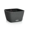 LECHUZA Jardinière Bacino Cottage All-in-one 30x30 Cm Noir Graphite -Progardee Boutique 6479895b546b40.96121380