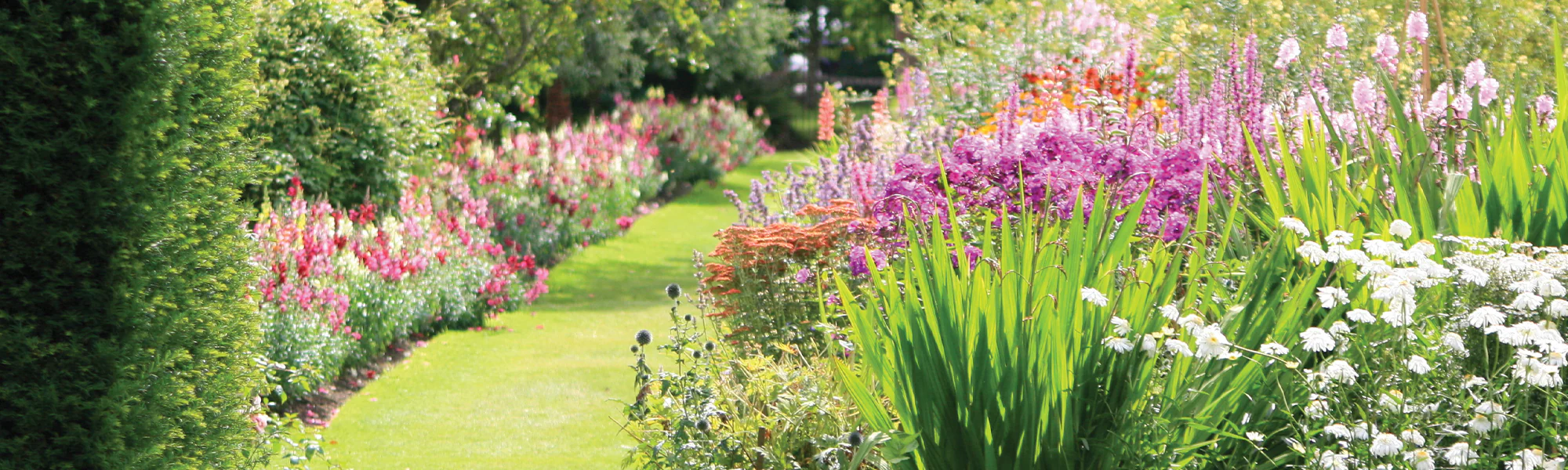 Progardee Boutique 1 Progardee Boutique -Progardee Boutique shp graines fleurs e4b95d00 fdb2 4c81 b800 be4333dc9534